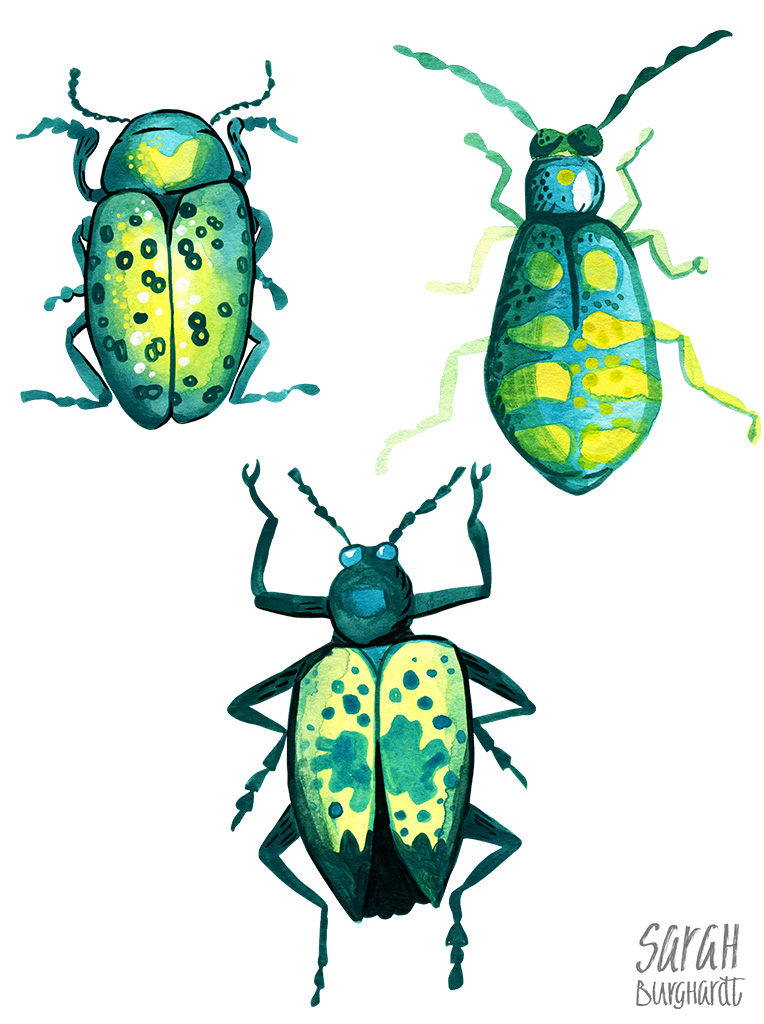 Beetles Watercolor Pattern